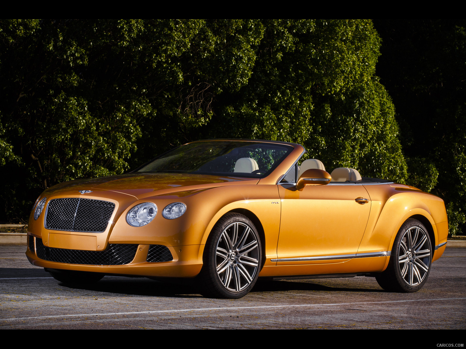 Download this Bentley Continental... picture
