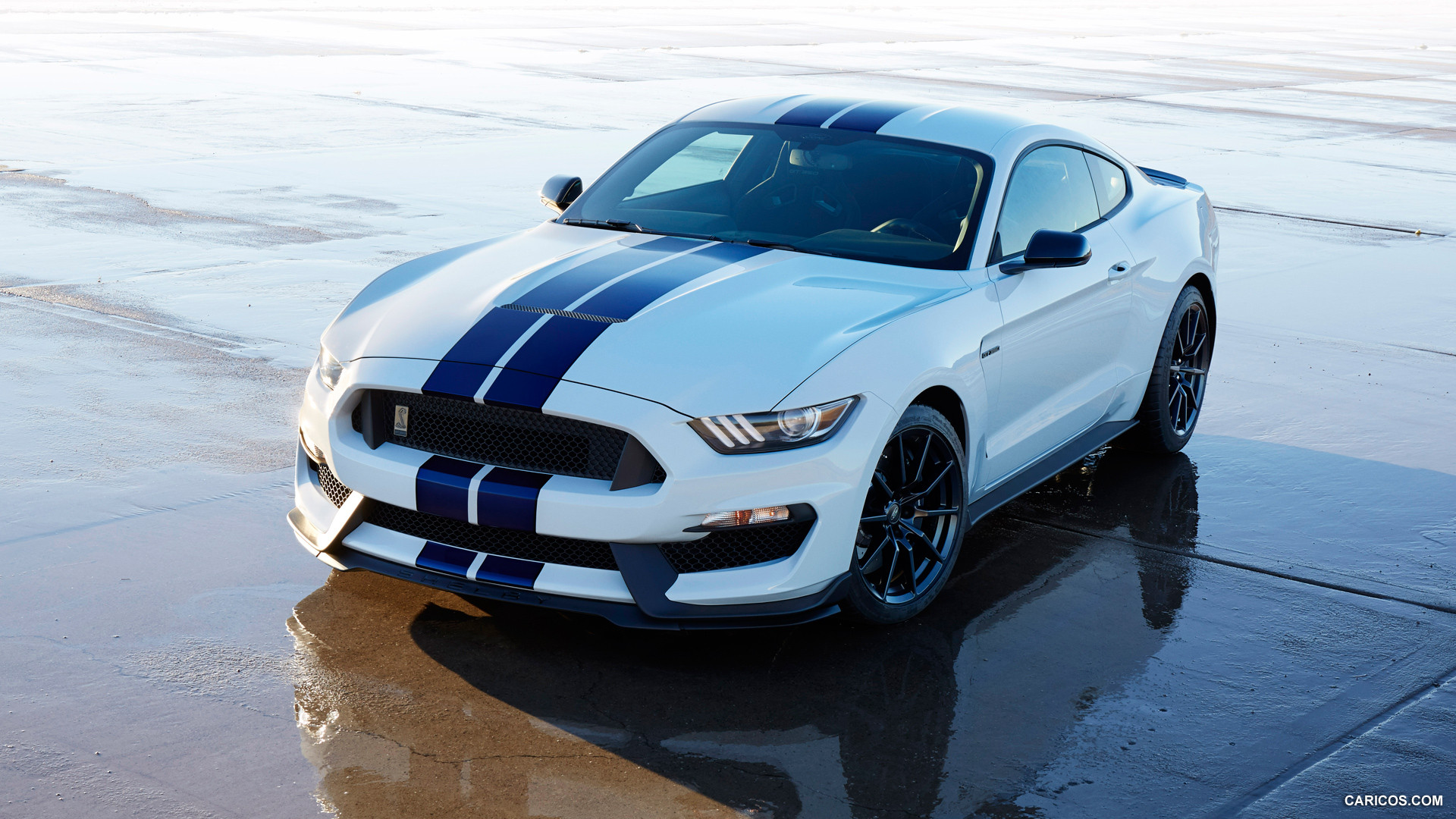 2016 Ford Mustang Shelby Gt350 Front Hd Wallpaper 10 1920x1080