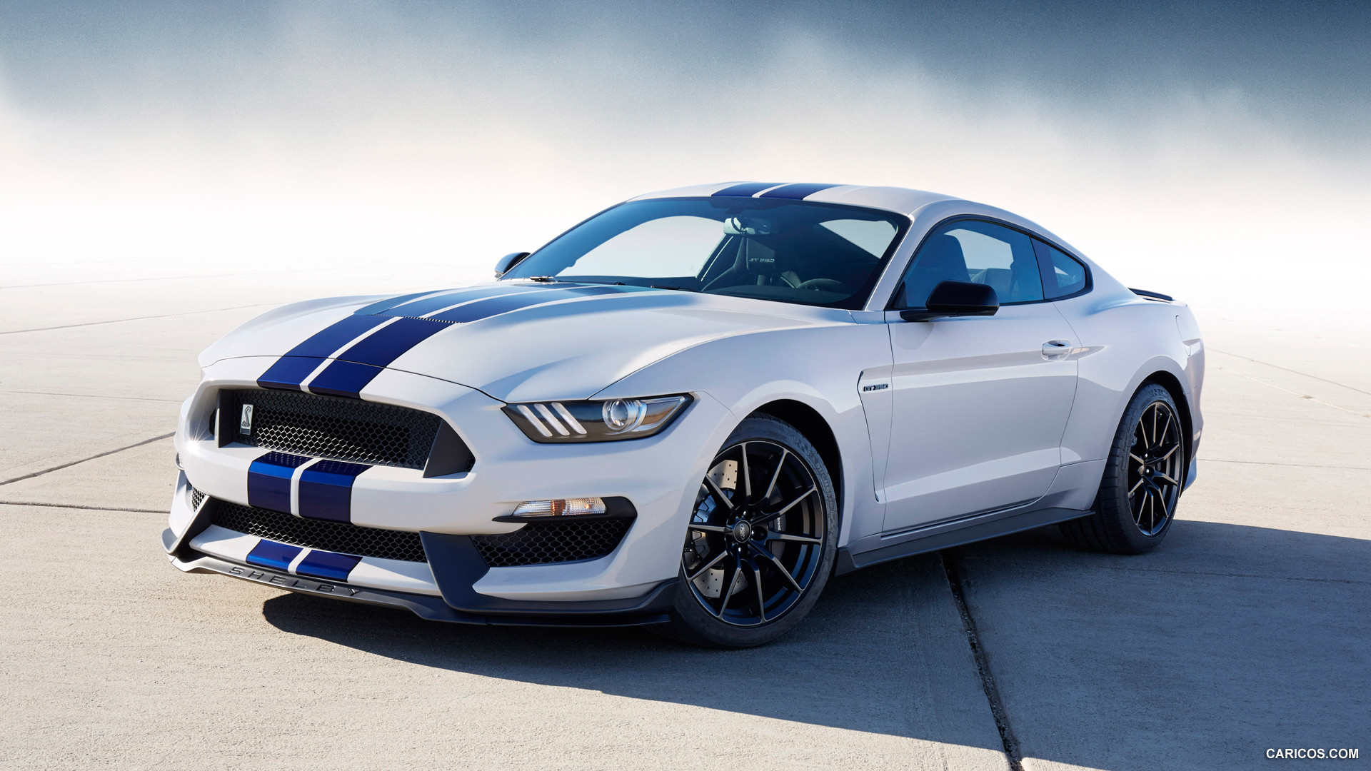 2015 Ford Mustang Guard