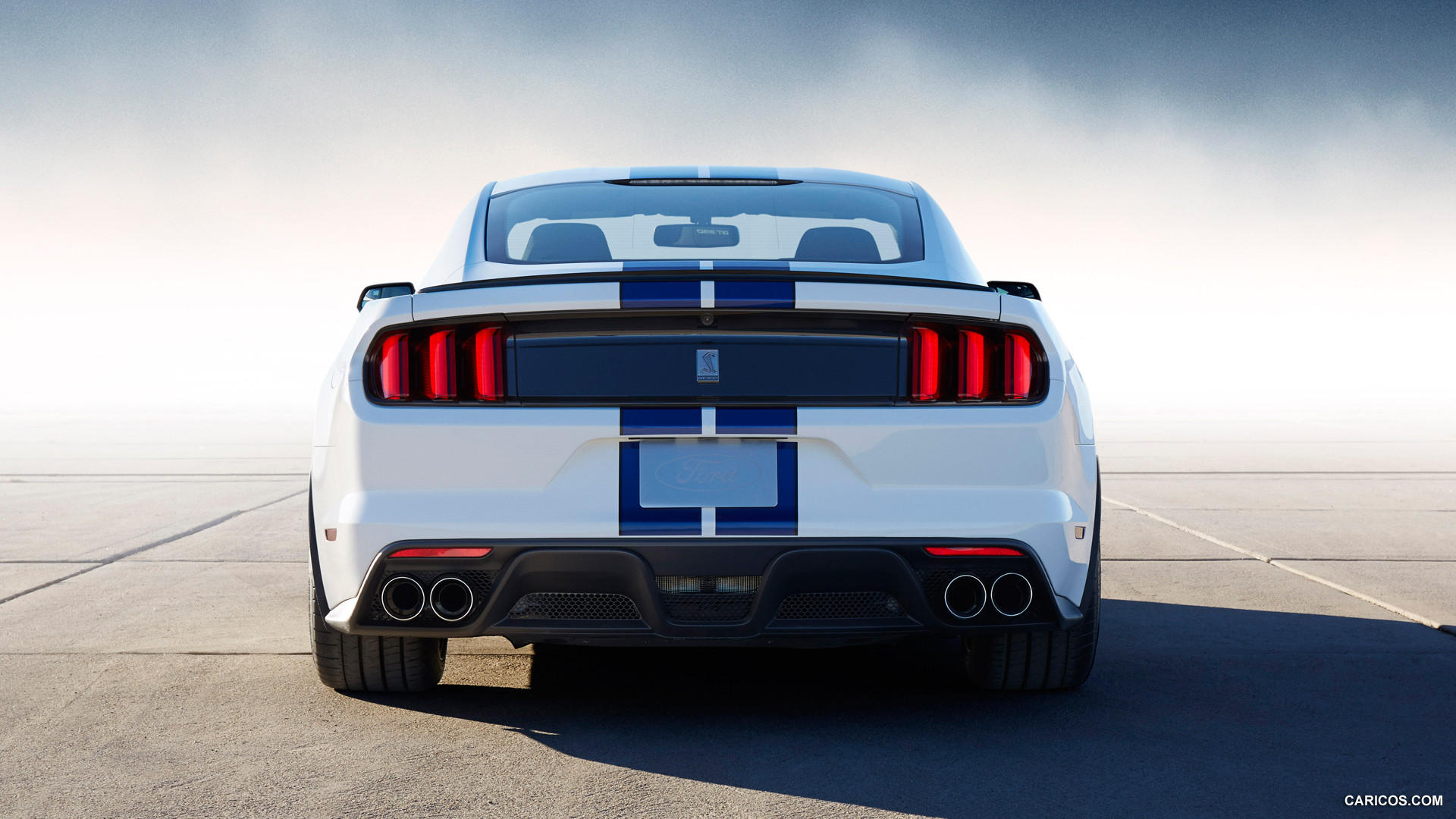 2015 Ford Mustang Guard