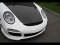 2009 Mansory Porsche 911 Carrera - Picture # 9