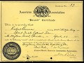 1909 Blitzen-Benz 200-PS - Picture # 14