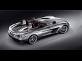 2009 Mercedes-Benz SLR Stirling Moss - Picture # 7