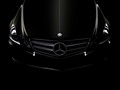 2010 Mercedes-Benz E-Class Coupe  - Front Angle View Photo