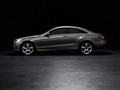 2010 Mercedes-Benz E-Class Coupe  - Side View Photo