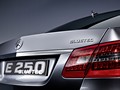 2010 Mercedes-Benz E-Class Sedan  - Rear Angle View Photo