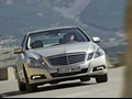 2010 Mercedes-Benz E-Class Sedan  - Front Angle View Photo