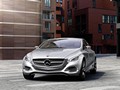 Mercedes-Benz F800 Style Concept (2010) - Front Angle