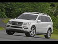 2010 Mercedes-Benz GL-Class - Picture # 10