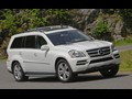 2010 Mercedes-Benz GL-Class - Picture # 12