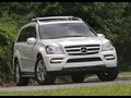 2010 Mercedes-Benz GL-Class - Picture # 2