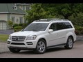 2010 Mercedes-Benz GL-Class - Picture # 9