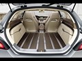 2010 Mercedes-Benz Shooting Break Concept  - Interior