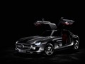 2010 Mercedes-Benz SLS AMG - Picture # 138