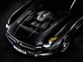 2010 Mercedes-Benz SLS AMG - Picture # 144