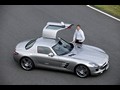 2010 Mercedes-Benz SLS AMG Gullwing - Door Open - Top