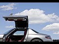 2010 Mercedes-Benz SLS AMG Gullwing - Doors Open - Close-up