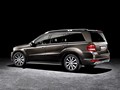 2011 Mercedes-Benz GL-Class Grand Edition - Picture # 2