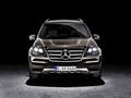 2011 Mercedes-Benz GL-Class Grand Edition - Picture # 3