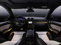 2011 Mercedes-Benz GL-Class Grand Edition - Picture # 5