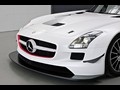 Mercedes-Benz SLS AMG GT3  - Front Angle View Photo