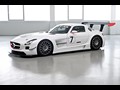 2011 Mercedes-Benz SLS AMG GT3 - Picture # 24