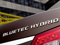 2012 Mercedes-Benz E-Class BlueTEC HYBRID - Picture # 3