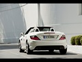 2012 Mercedes-Benz SLK 250 CDI - Picture # 7