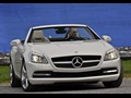 2012 Mercedes-Benz SLK350 - Picture # 8