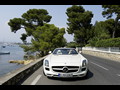2012 Mercedes-Benz SLS AMG Roadster - Picture # 6
