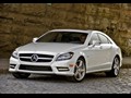 2012 Mercedes-Benz CLS550 - Picture # 1
