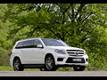 2013 Mercedes-Benz GL63 AMG - Picture # 10