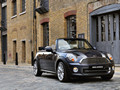 2012 Mini Avenue Line - Picture # 2