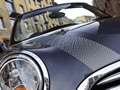 2012 Mini Avenue Line - Picture # 6