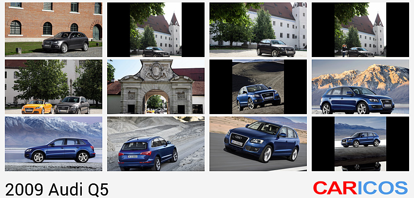 Audi Q5 (2009)  | Front