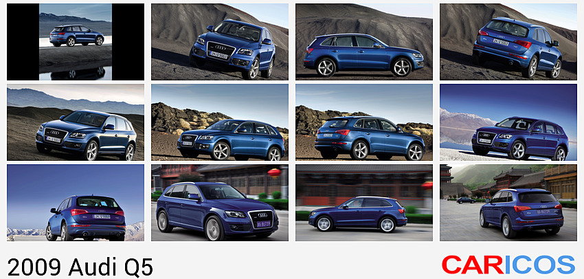 Audi Q5 (2009)  | Rear