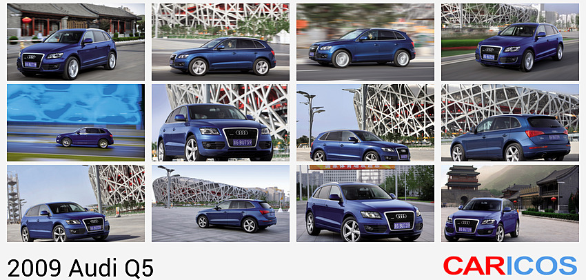 Audi Q5 (2009)  | Front
