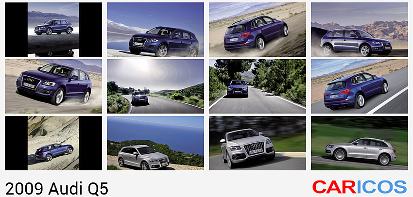 Audi Q5 (2009)  | Front