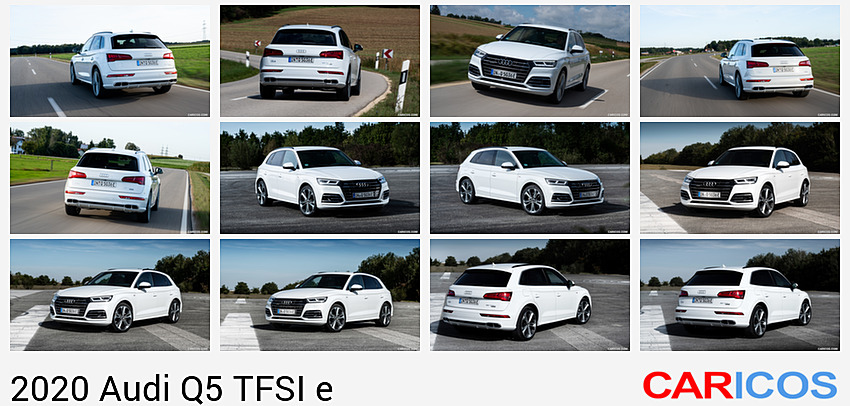 Audi Q5 TFSI e | 2020MY |  Plug-In Hybrid (Color: Glacier White) | Rear