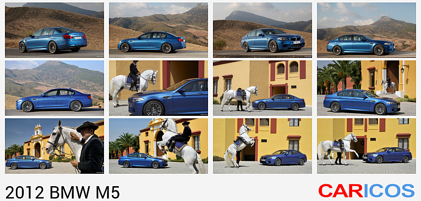 BMW M5 | 2012MY |   | Rear