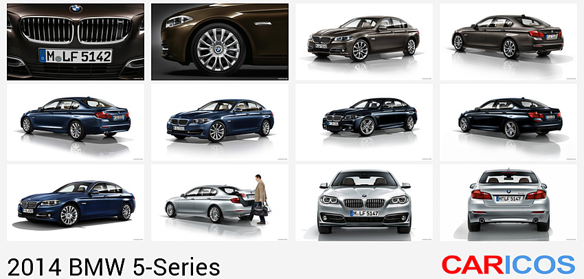 BMW 5-Series | 2014MY |  Modern Line | Grille