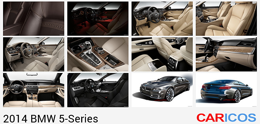 BMW 5-Series | 2014MY |  Luxury Line | Interior Detail