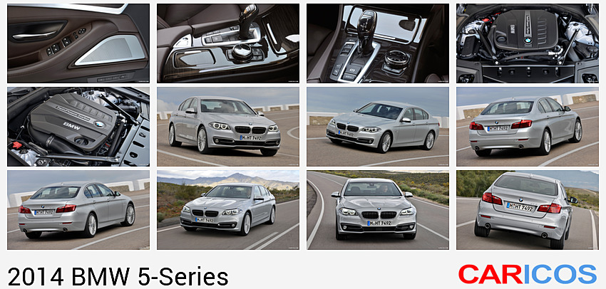 BMW 5-Series | 2014MY |  530d Luxury Line  | Interior Detail