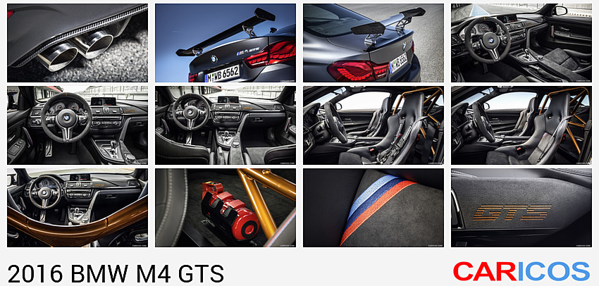 BMW M4 GTS | 2016MY | Tailpipe
