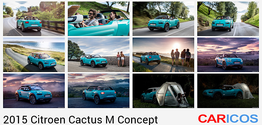 Citroen Cactus M Concept | 2015MY |   | Rear