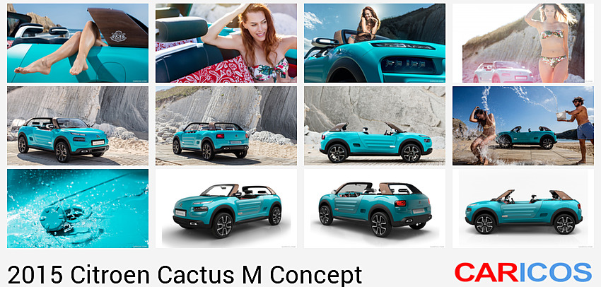 Citroen Cactus M Concept | 2015MY |   | Detail