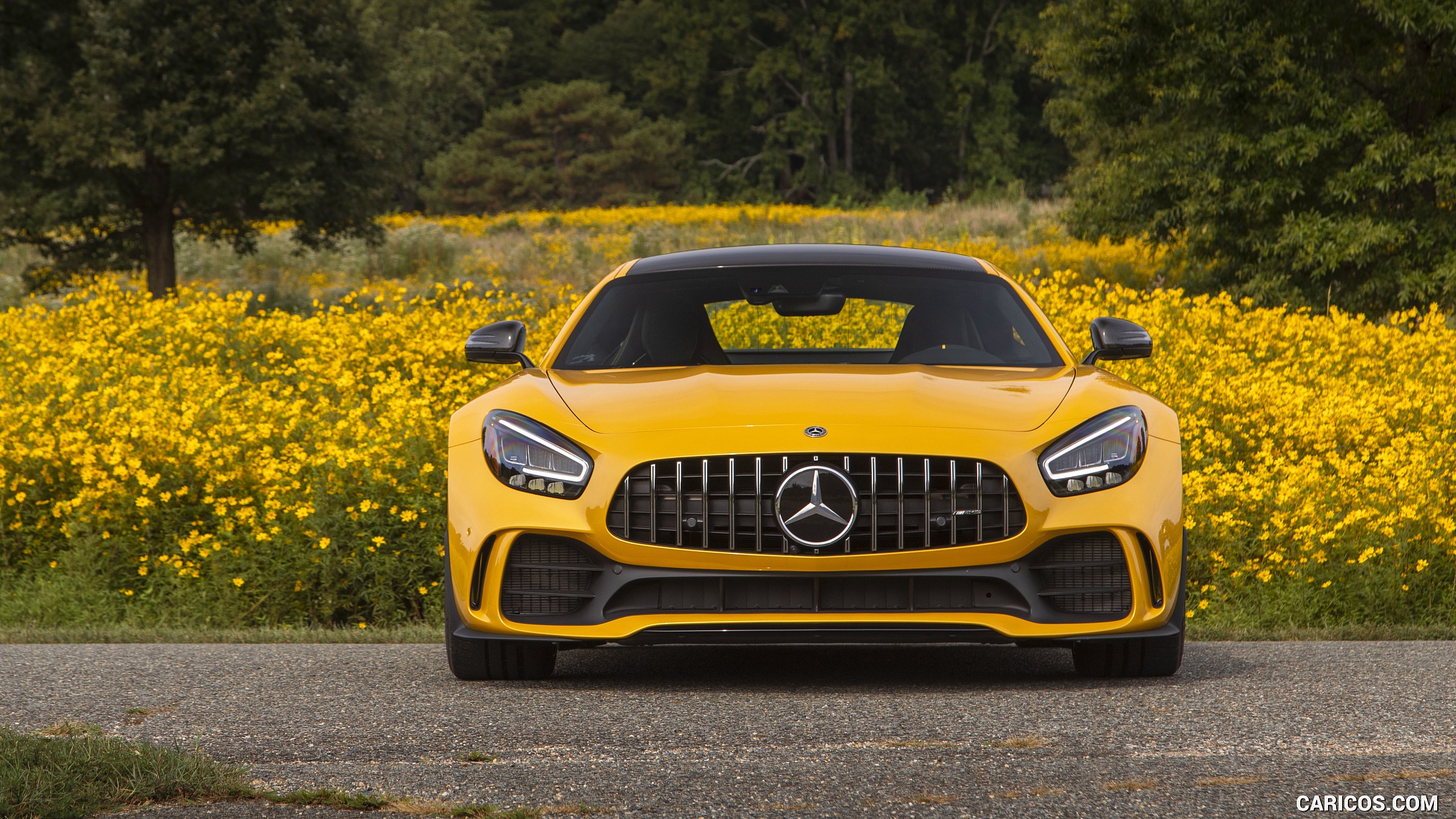 2020 Mercedes Amg Gt R Coupe Us Spec Front Hd