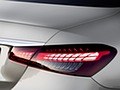2021 Mercedes-Benz E-Class AMG line (Color: Mojave Silver Metallic) - Tail Light