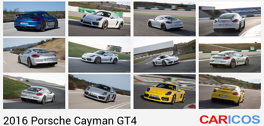 Porsche Cayman GT4 | 2016MY |   | Rear