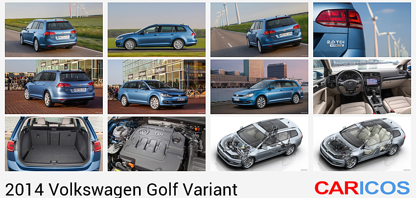 Volkswagen Golf 7 Variant (2014)  | Rear